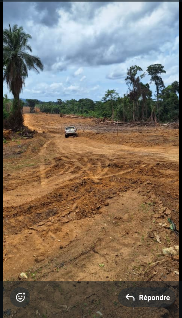 screenshot 20260408 161935