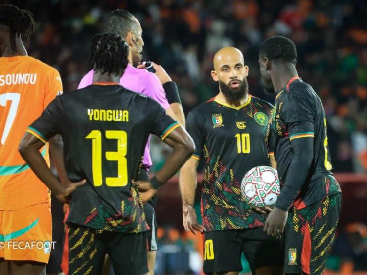 lions indomptables 12