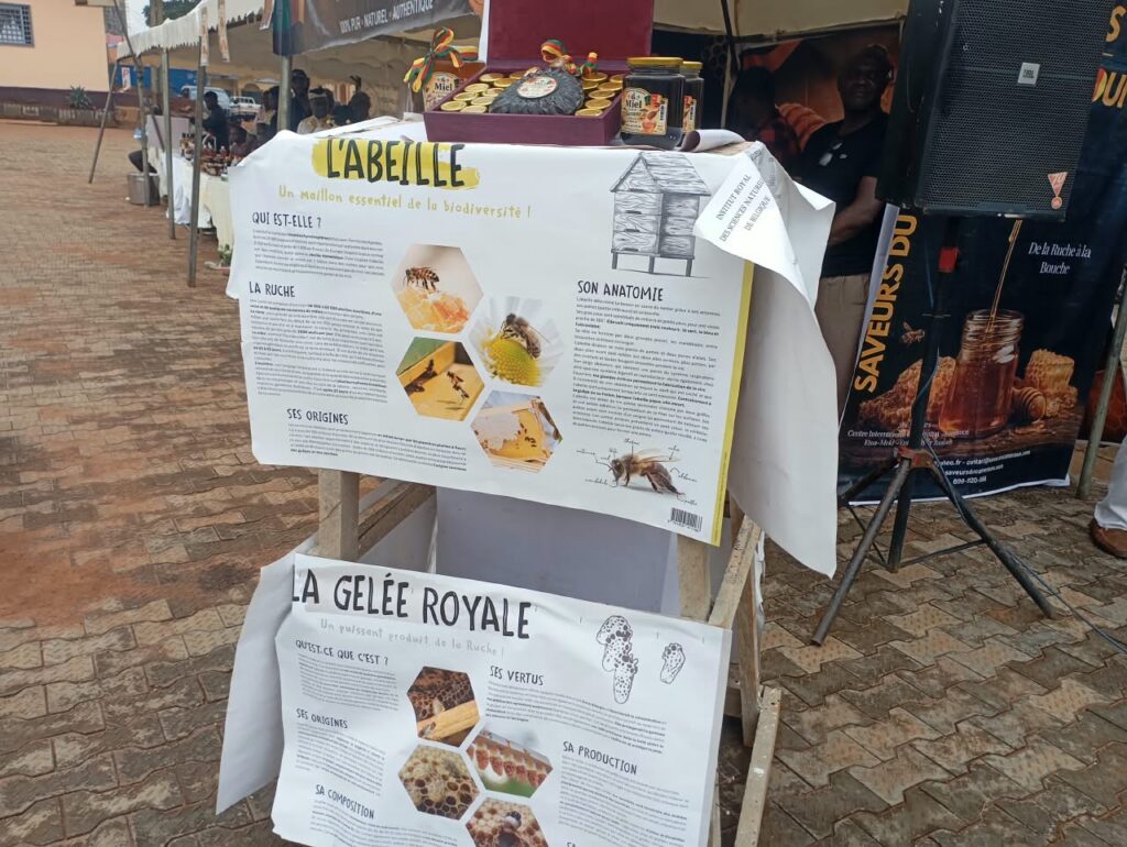 Apiculture au Cameroun : 8 100 tonnes de miel produites en 2025 img 20261009 wa0009