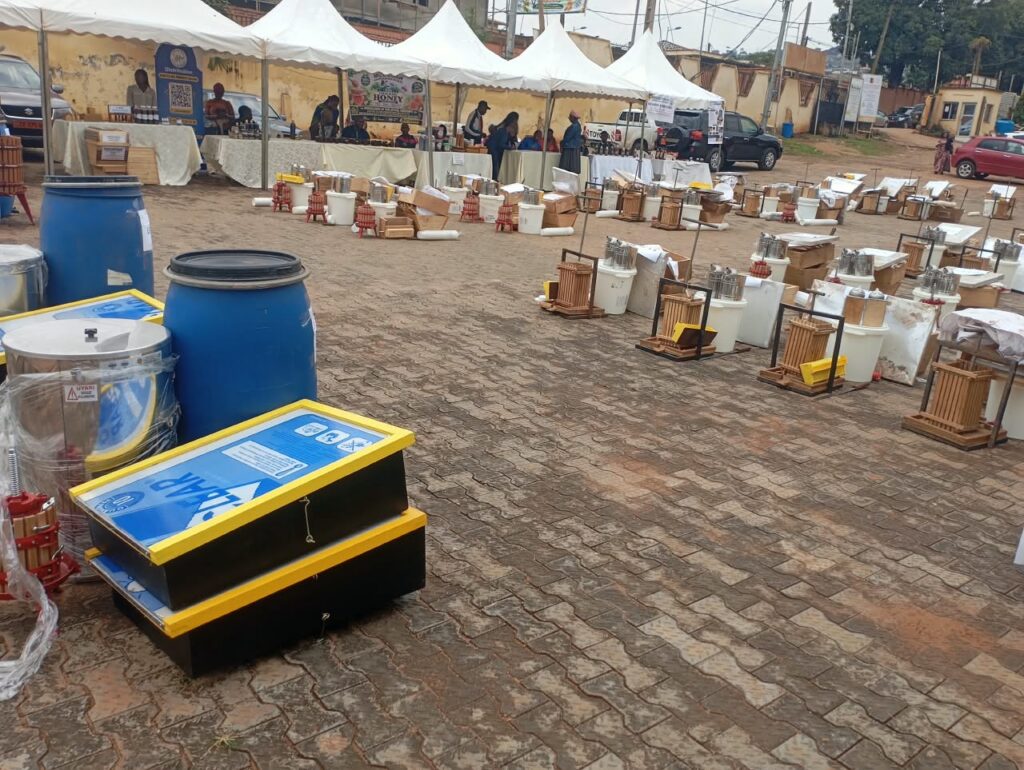 Apiculture au Cameroun : 8 100 tonnes de miel produites en 2025 img 20261009 wa0011